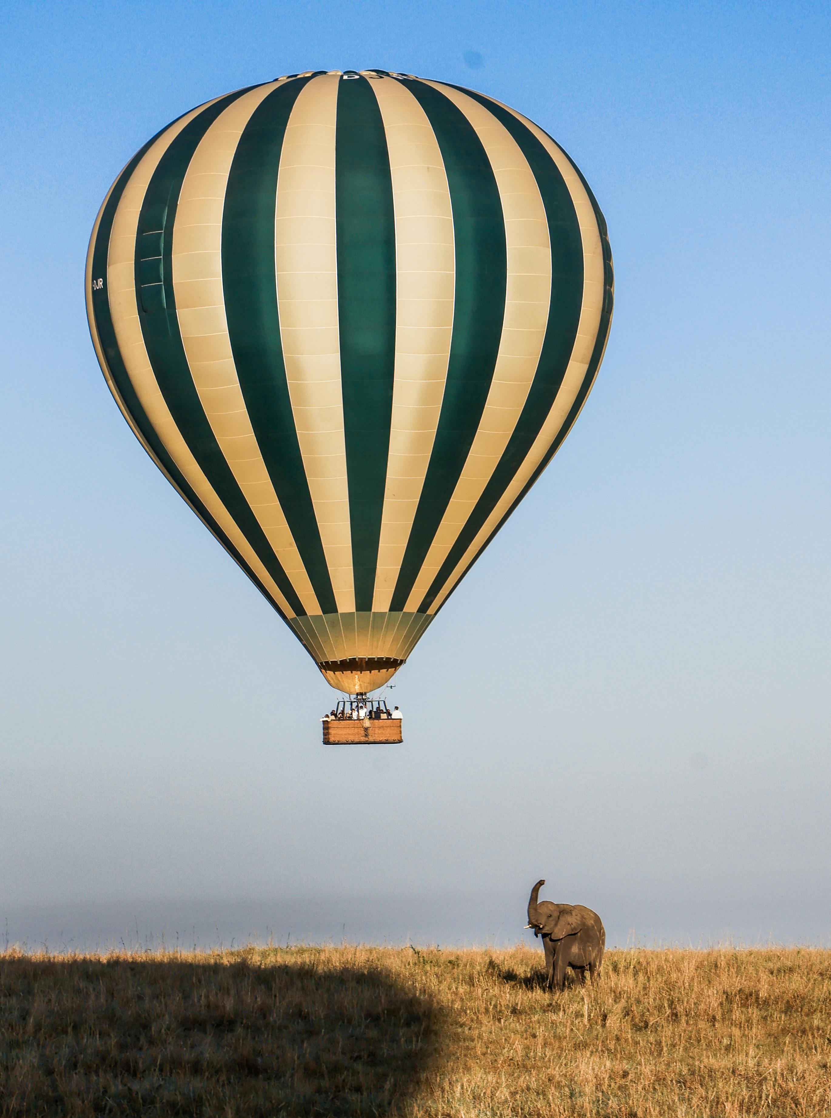 Afrique